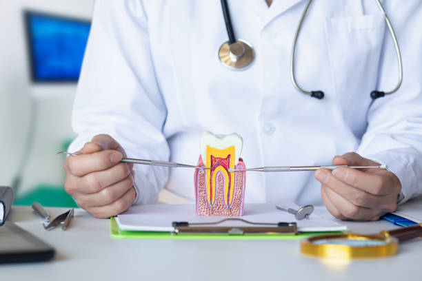Best Emergency Gum Treatment in Haverhill, MA
